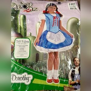 The Wizard of Oz Dorothy Costume Girl Sz XL
